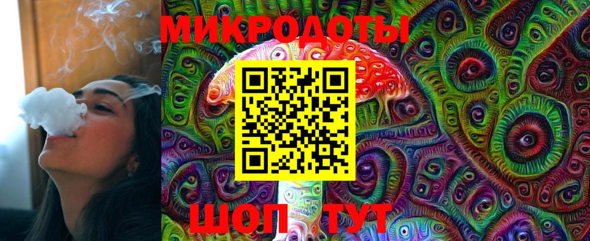 Псилоцибиновые грибы Cubensis Сыктывкар