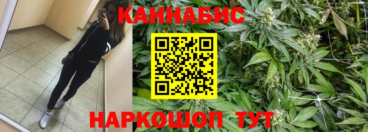 Бошки Шишки планчик Сыктывкар